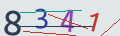 verifycode